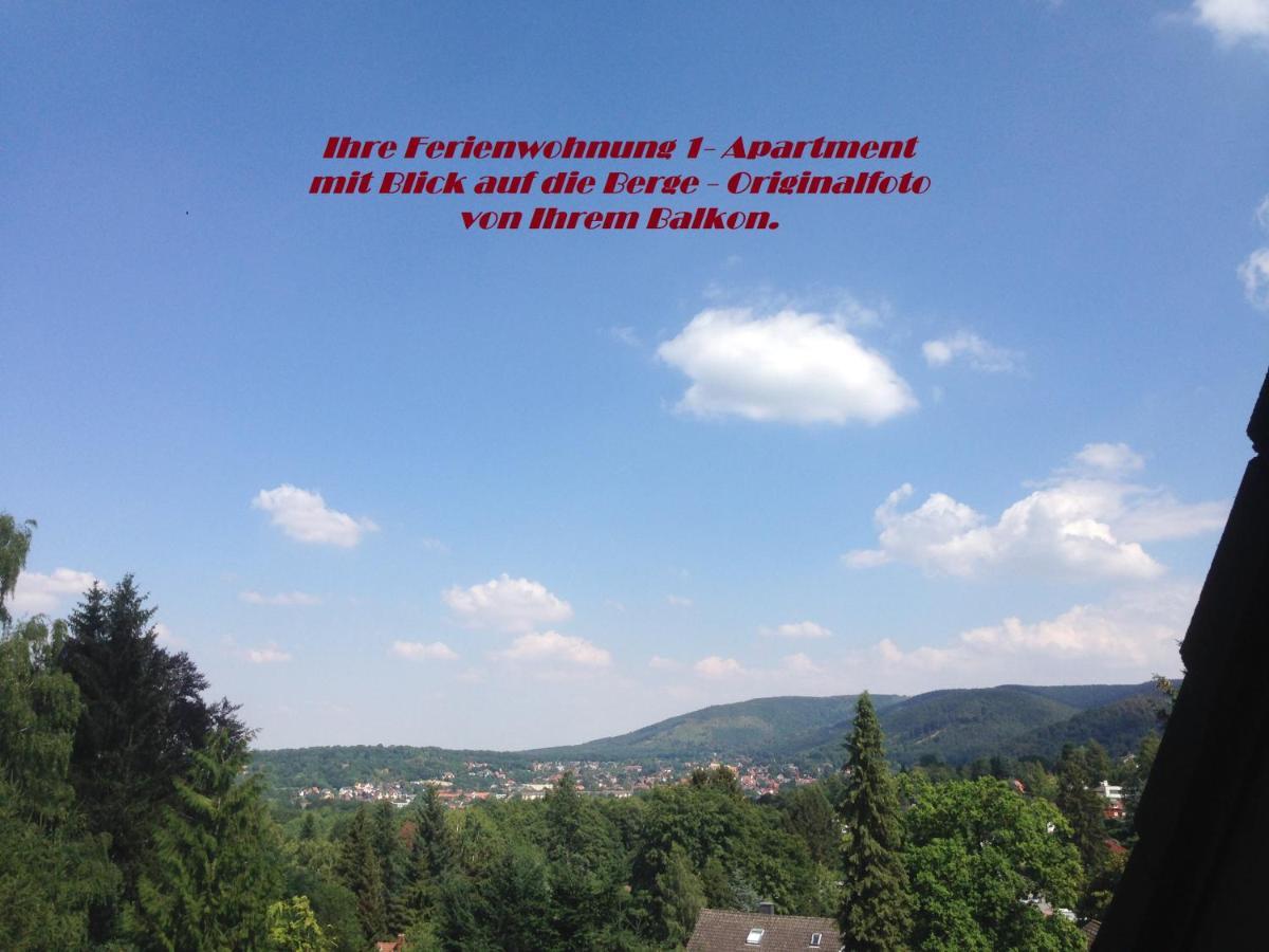 Ferienwohnungen Am Elfenstein Bad Harzburg Εξωτερικό φωτογραφία