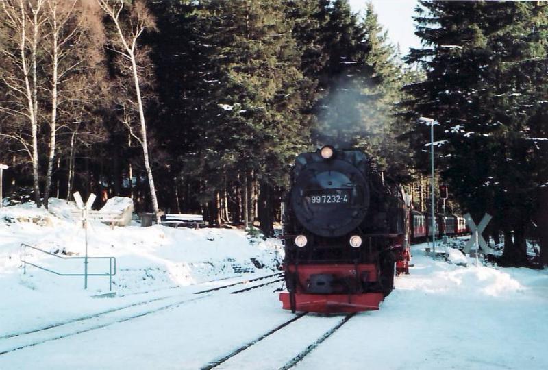Ferienwohnungen Am Elfenstein Bad Harzburg Εξωτερικό φωτογραφία