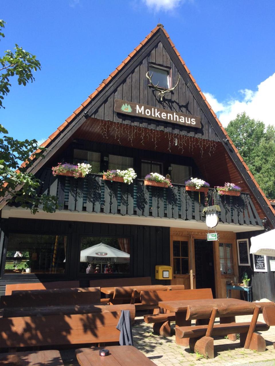 Ferienwohnungen Am Elfenstein Bad Harzburg Εξωτερικό φωτογραφία